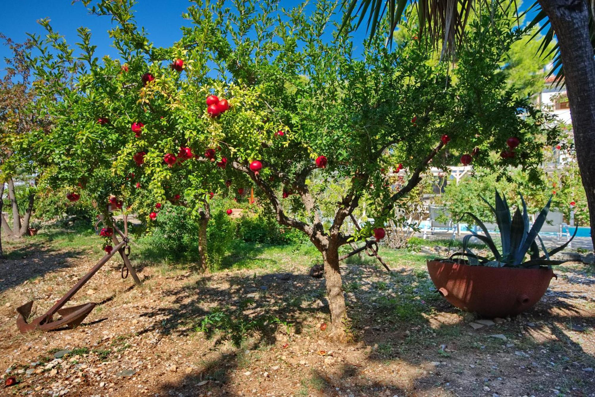 Kamelia Villas Votsi (Alonnisos) Exterior foto
