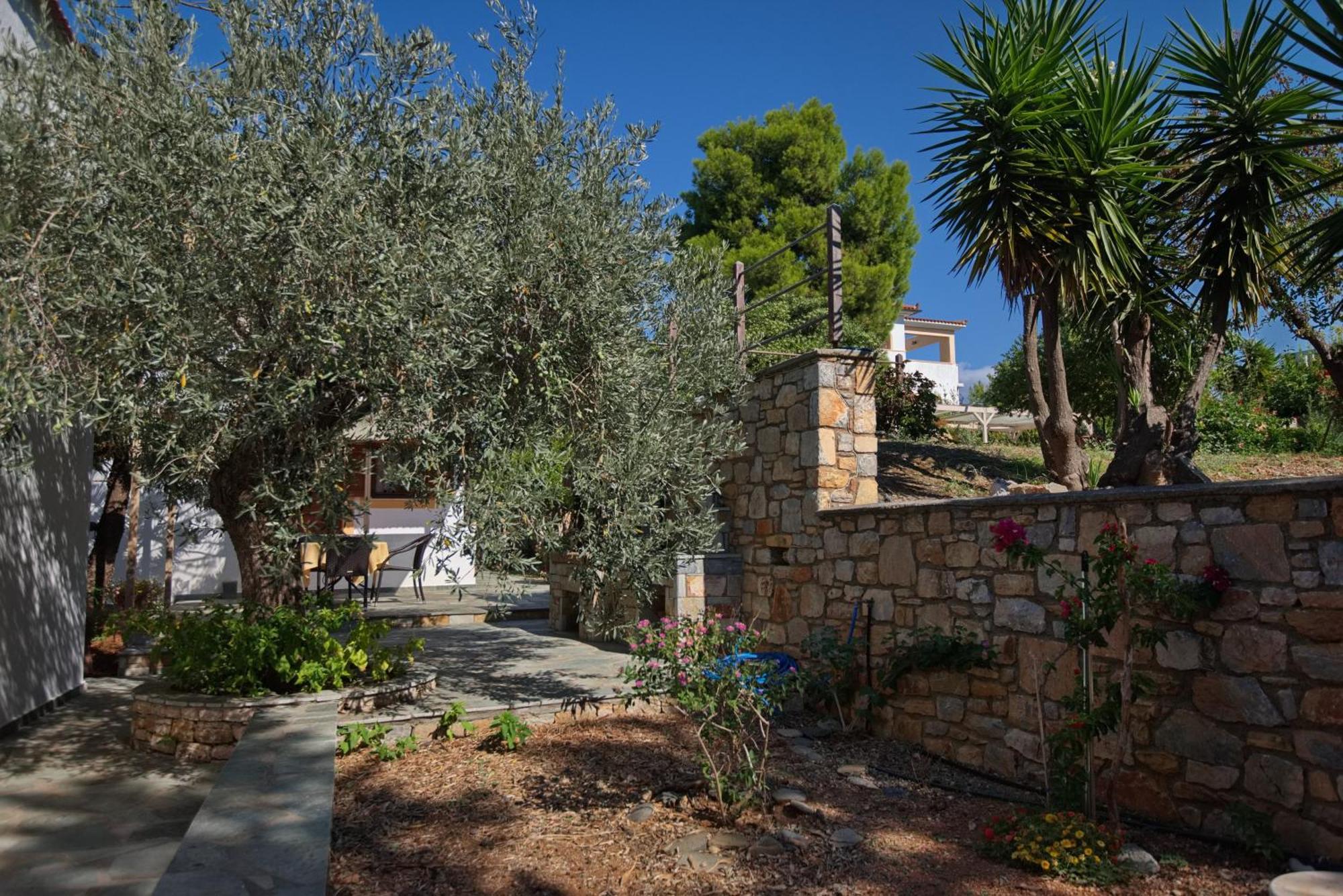 Kamelia Villas Votsi (Alonnisos) Exterior foto